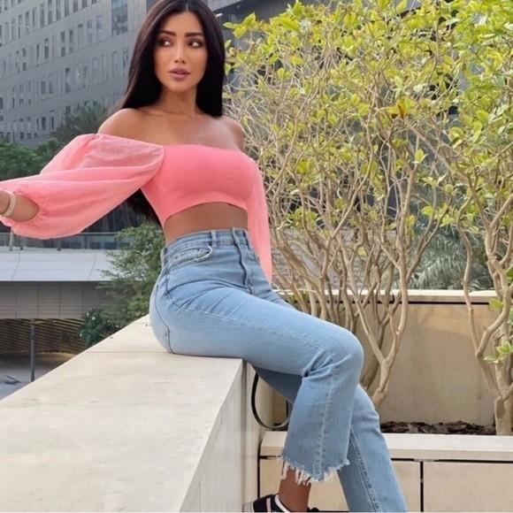 Zara Puff Sleeve Crop Top Pink Sheer Organza SOLD - Picture 15 of 16